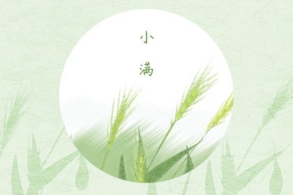 小满适合做的糕点 适合这个时节吃的蔬菜