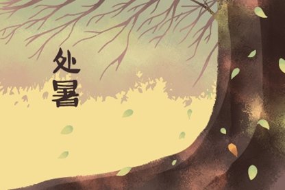处暑5